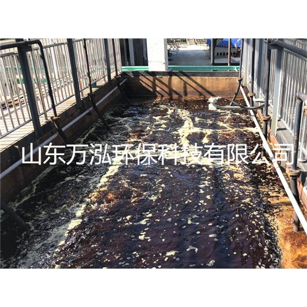 鐵碳填料處理化工廢水